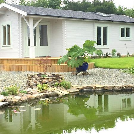 Sunset Hideaway Villa Narberth Bagian luar foto